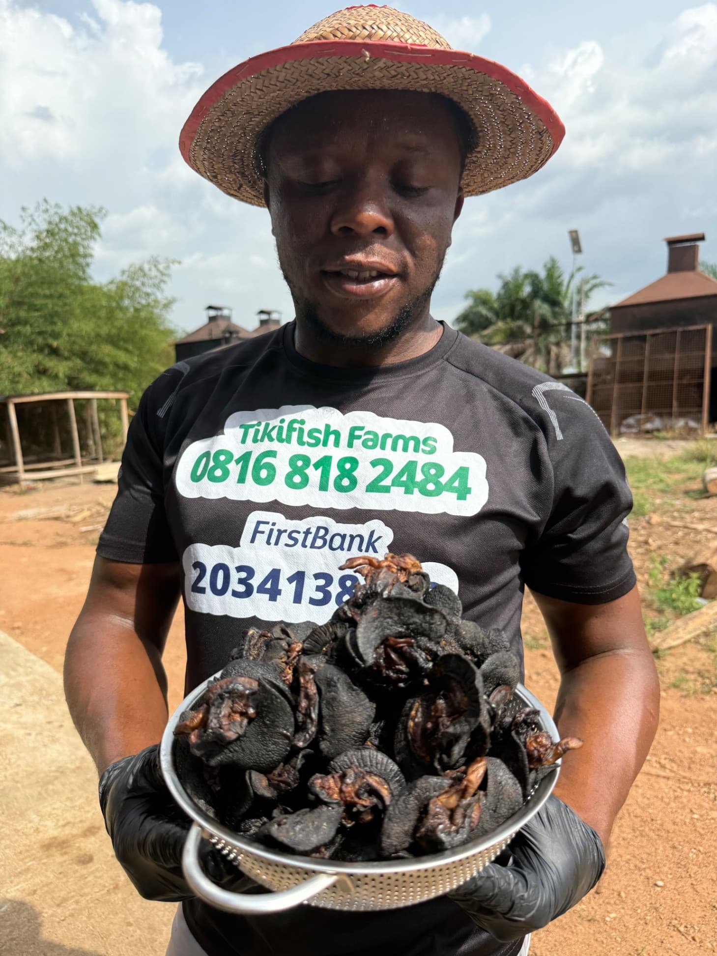 1kg Smoked bush snails